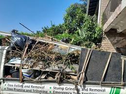 Best Residential Junk Removal  in Sigourney, IA