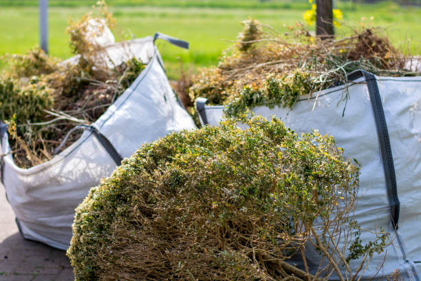 Best Hoarding Cleanup  in Sigourney, IA